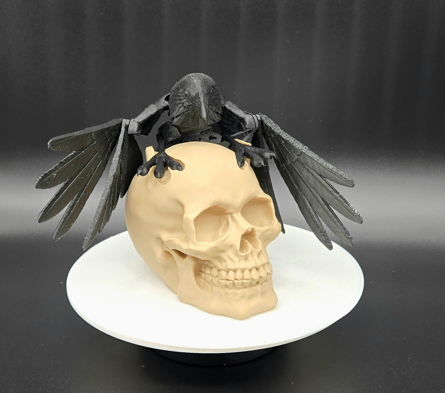 Raven on Skull Gothic Decor – 3D Printed Halloween Prop, Spooky Desk Decor, Crow Skull Sculpture