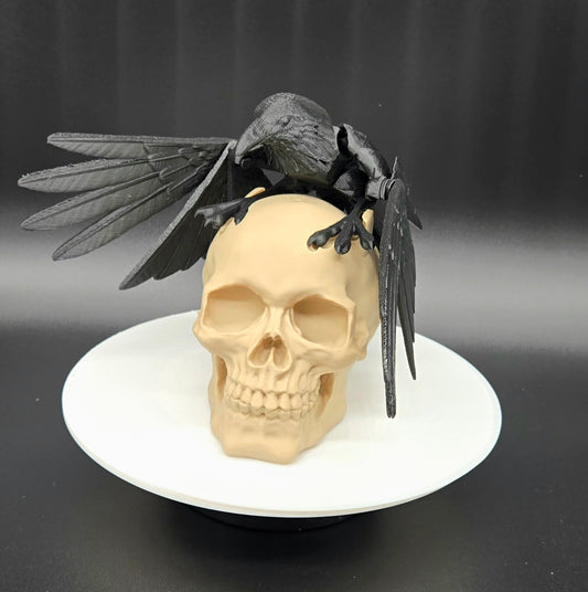 Raven on Skull Gothic Decor – 3D Printed Halloween Prop, Spooky Desk Decor, Crow Skull Sculpture
