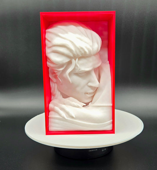 Vampire Book Nook – Gothic 3D Printed Bookshelf Insert, Dark Fantasy Decor for Horror & Vampire Fans