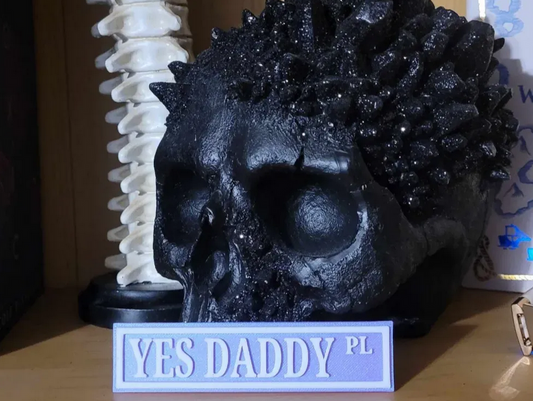 Bookshelf Sign Yes Daddy PL