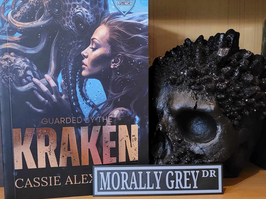 Bookshelf Sign MORALLY GREY