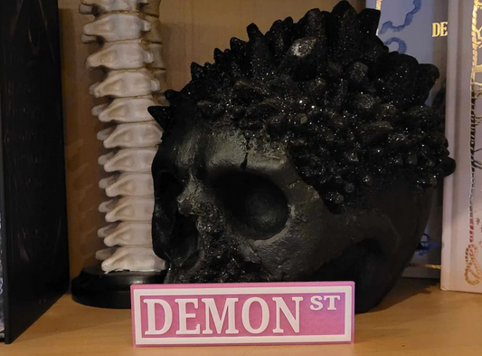 Demon St – Bookshelf Sign