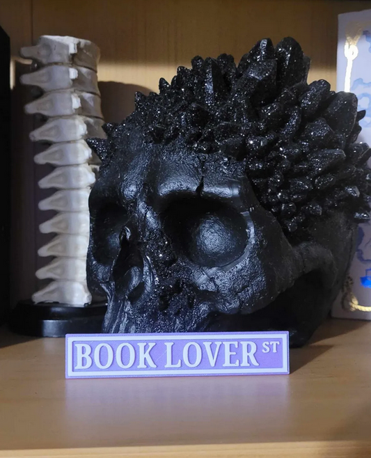 Book Lover St – Bookshelf Sign
