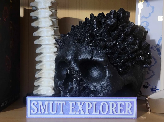 SMUT EXPLORER Bookshelf Sign – Spicy Book Reader Decor | 3D Printed Bookish Gift | Romance BookTok Shelf Accent for Adventurous Readers