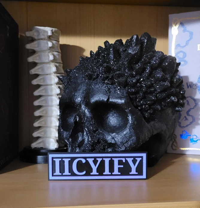 IICYIFY Bookshelf Sign – Spicy Bookish Decor | “If I Catch You, I F*ck You” Sign | Bold Romance Reader Shelf Accent | 3D Printed Smut Merch